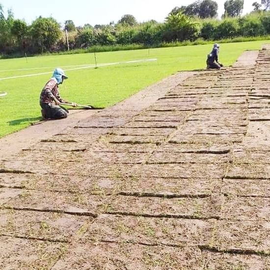 รับทำสนามหญ้า มาตรฐาน รับทำสนามหญ้า มาตราฐาน  สร้างสนามฟุตบอลมาตรฐาน 